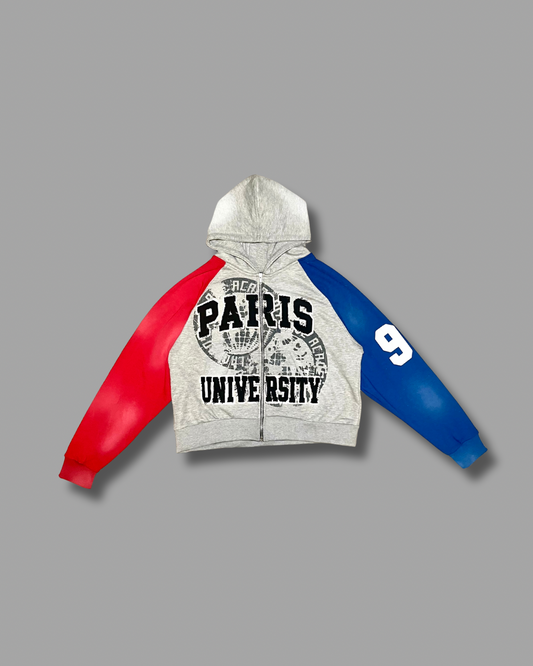 Gray Multi Paris University Hoodie